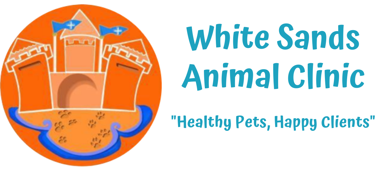 Healthy pets animal store clinic